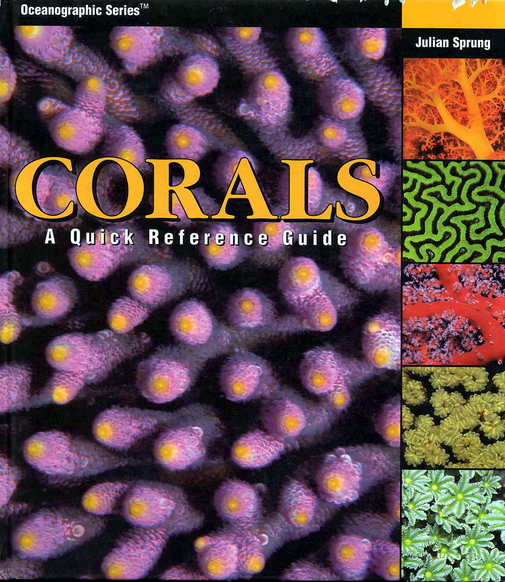 coral_portada.jpg