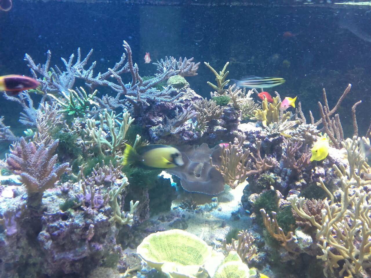 acuario-murcia4.jpg