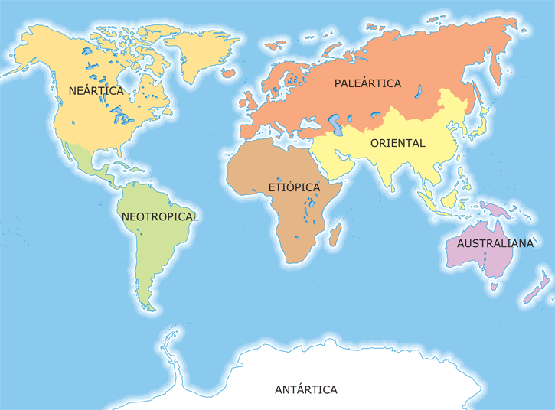 regiones_biogeograficas_mundo.png