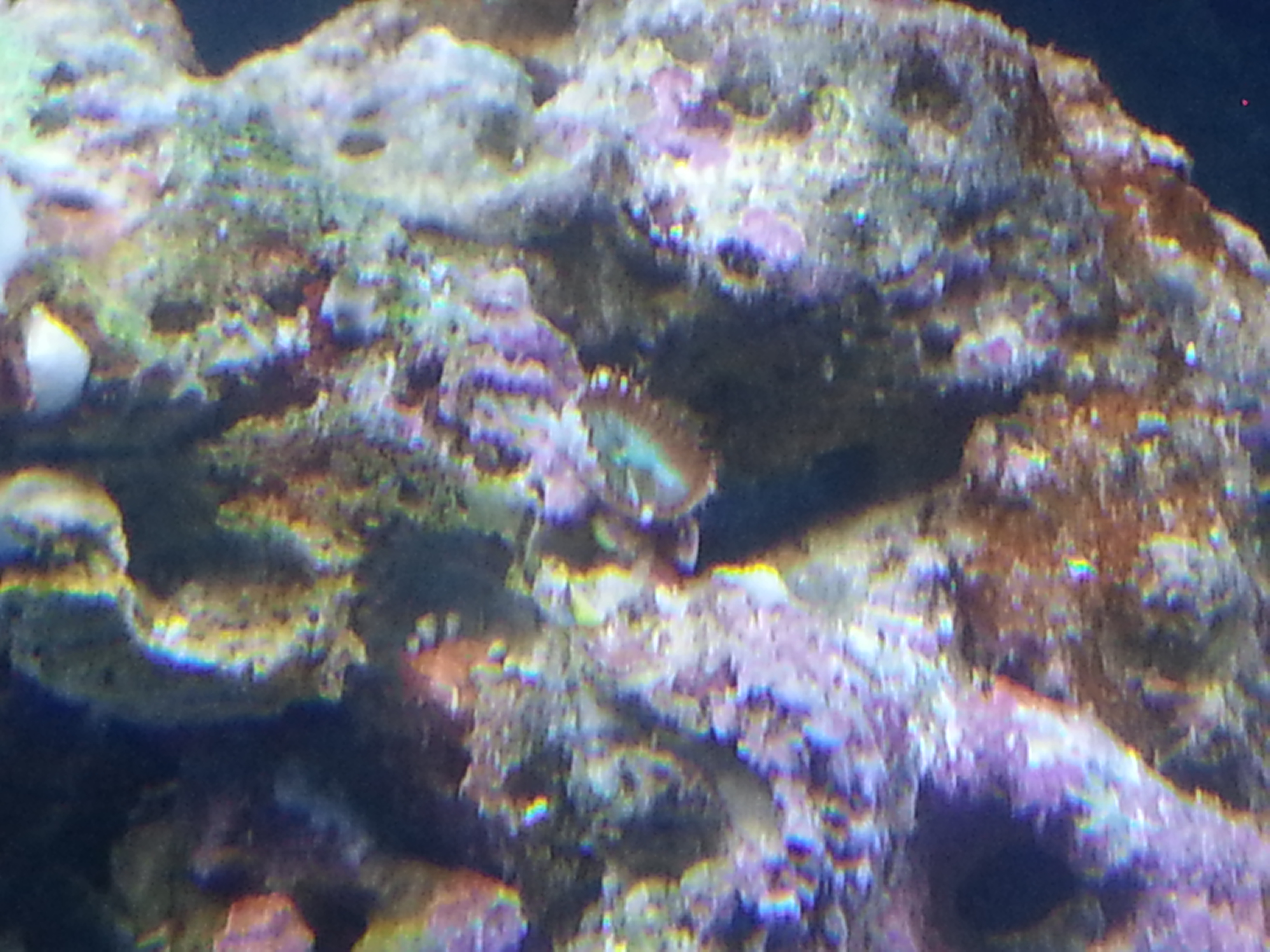 20130723_213445.jpg