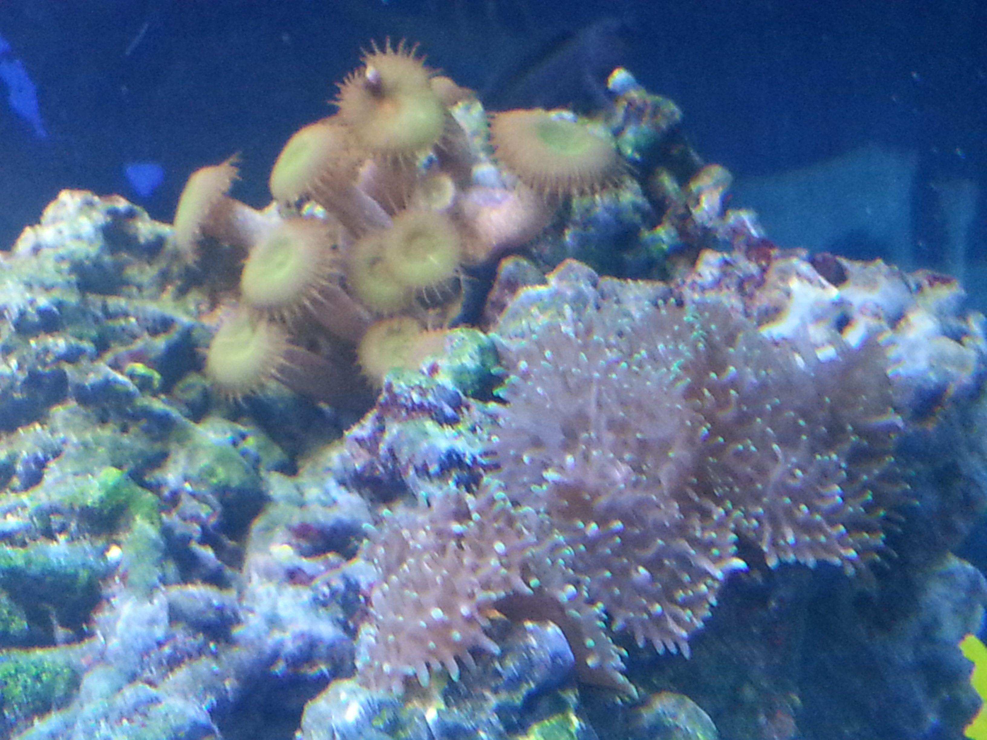 20130723_213225.jpg