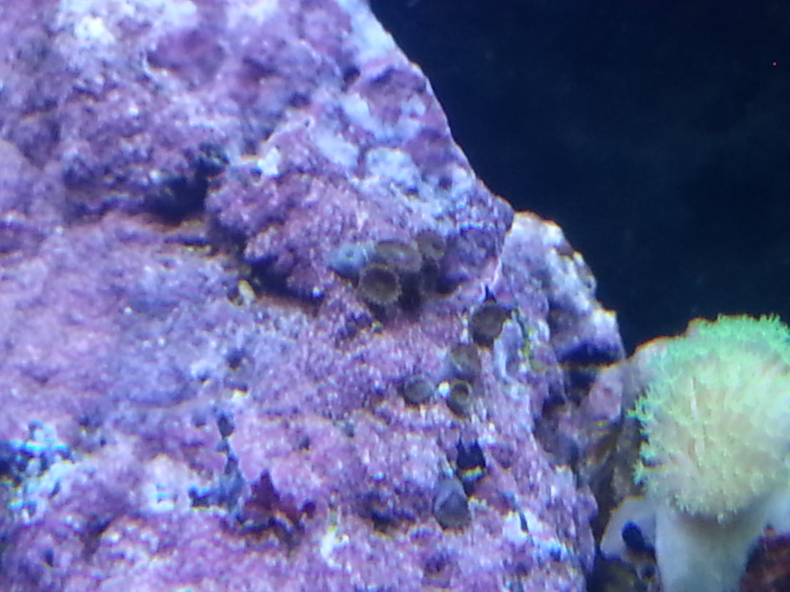 20130723_213426.jpg