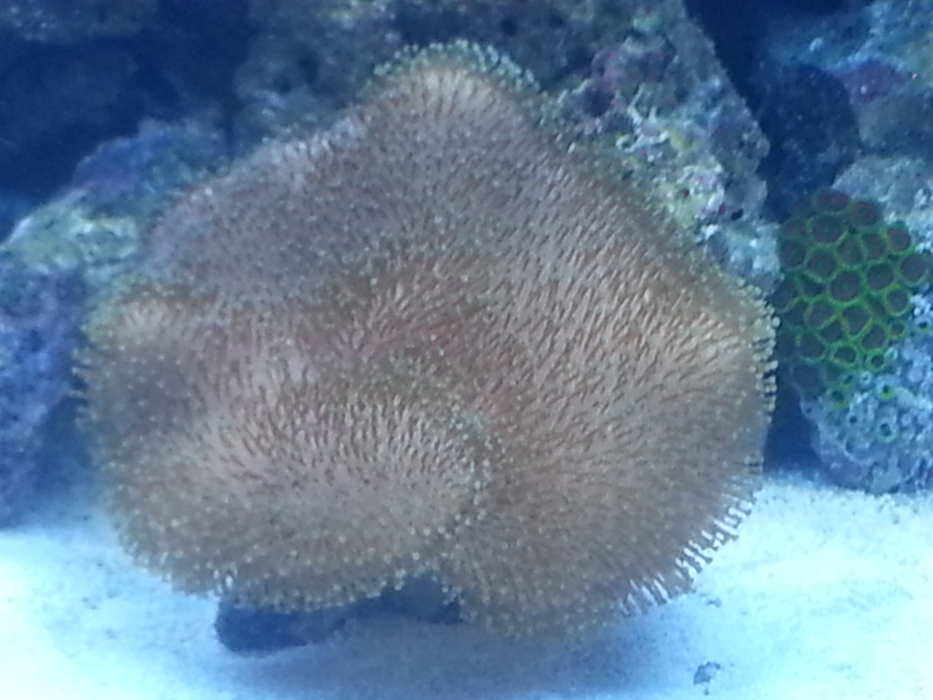20130723_213341.jpg