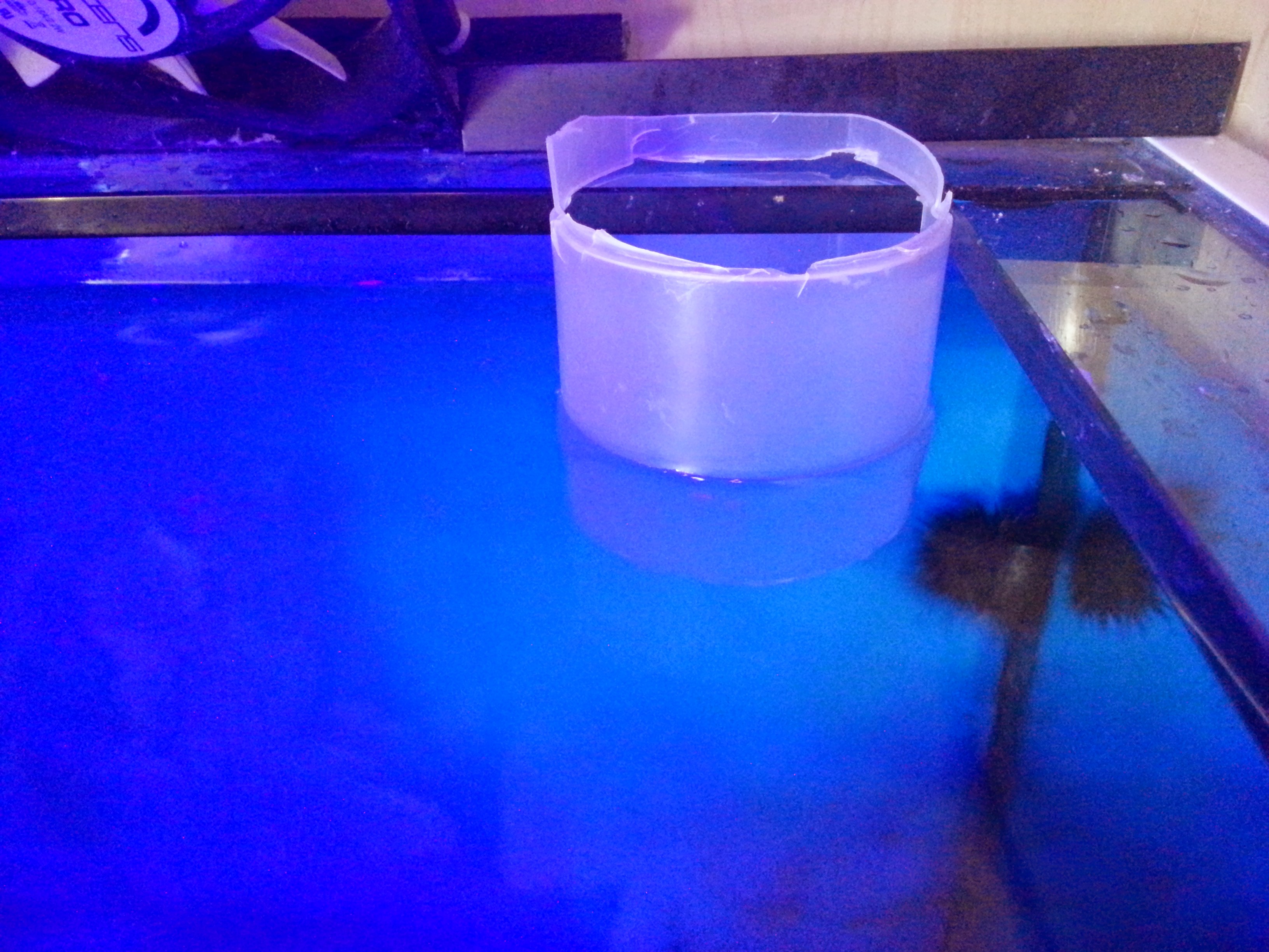 20140603_111958.jpg