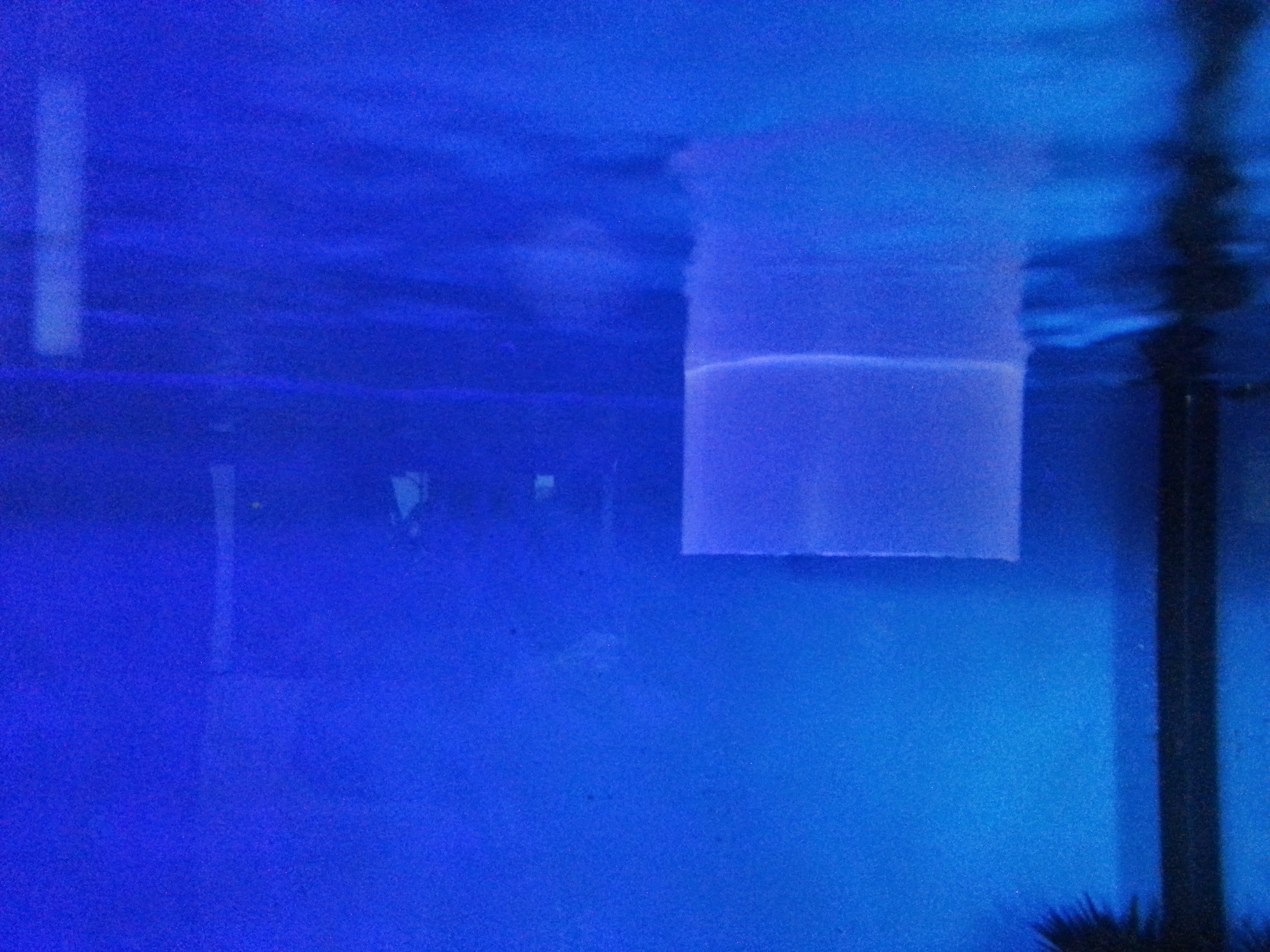 20140603_112027.jpg