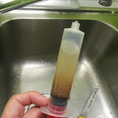 ARTEMIA 4.jpg