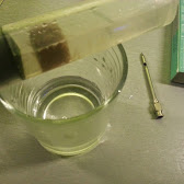 ARTEMIA 3.jpg